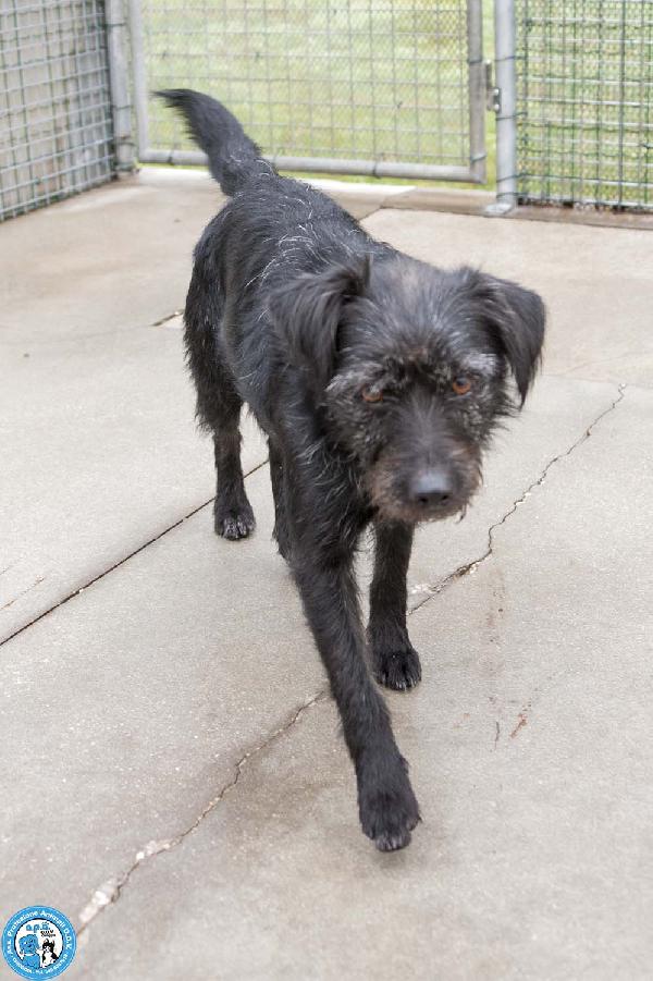 Greta, l’amore vero arriva piano.. Foto 6